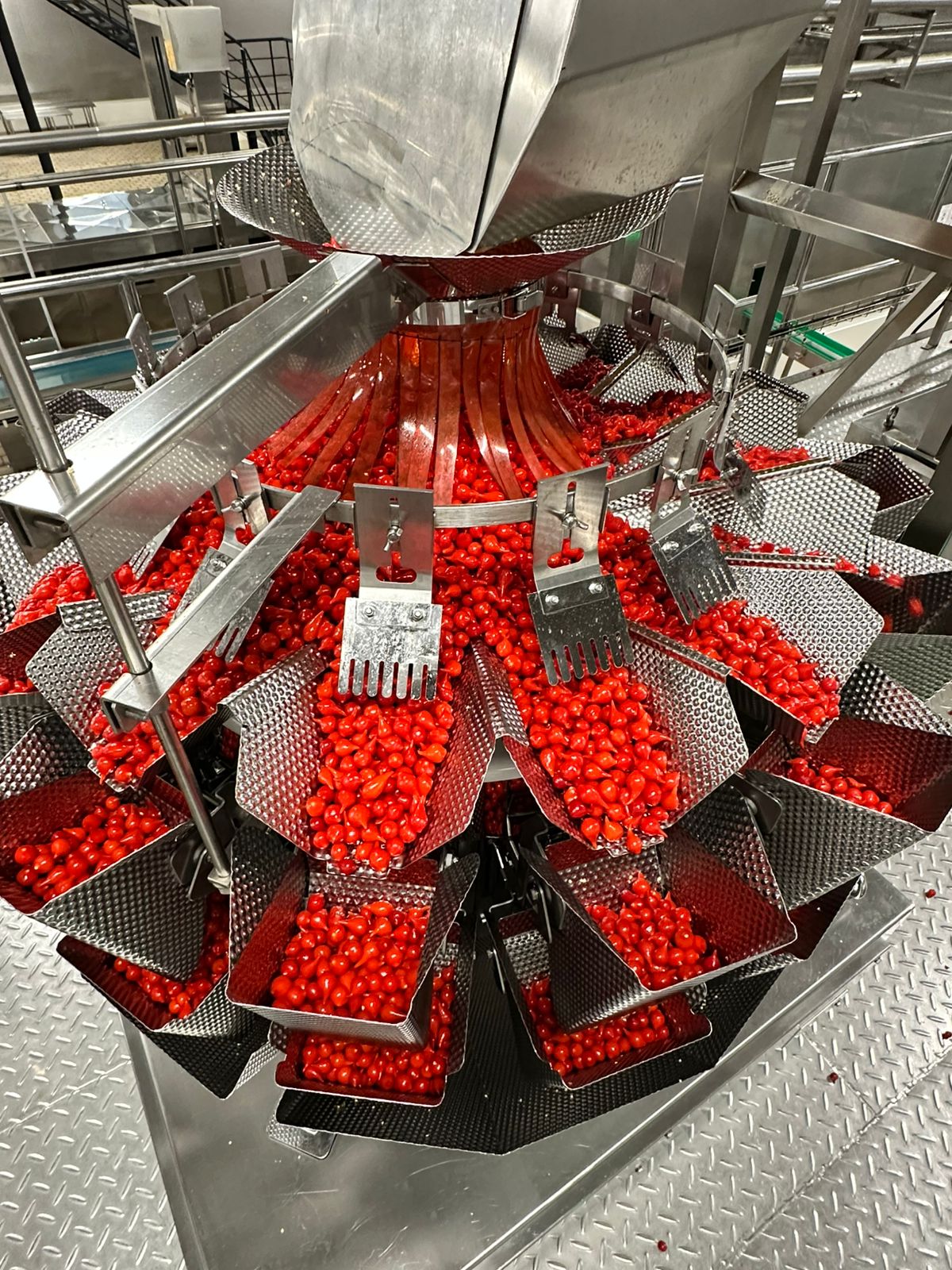 Prévisualisation