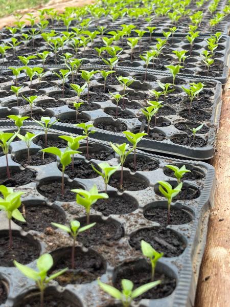 Fondation partenaire