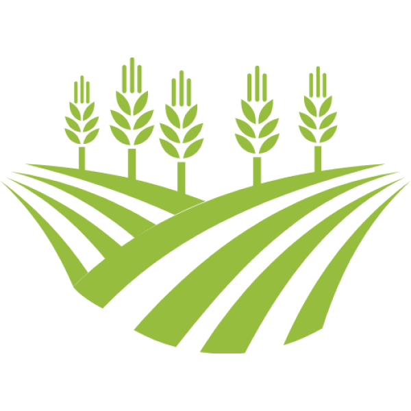 Un site riche et vivant